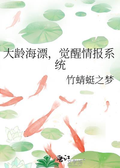 大龄海漂,觉醒情报系统