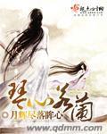 琴心若兰
