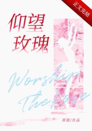 仰望玫瑰