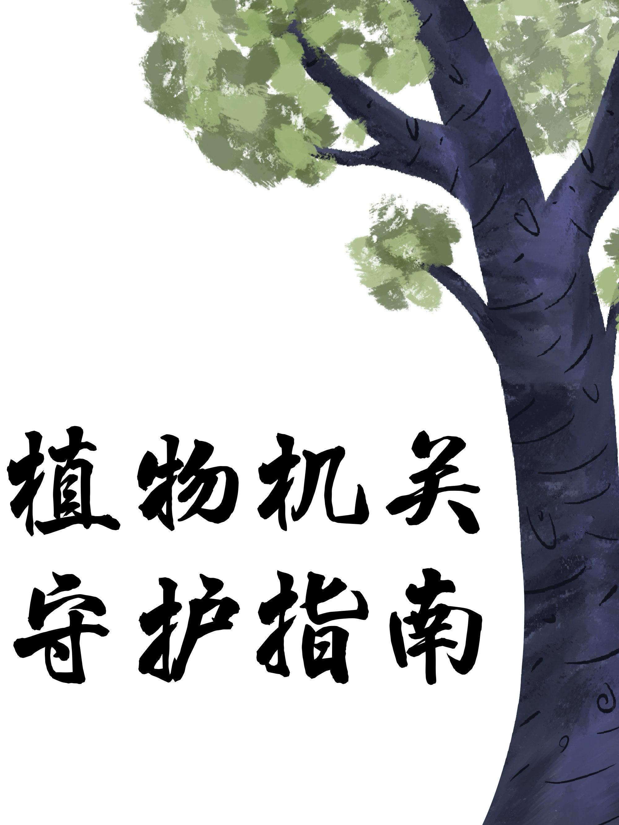 植物机关守护指南