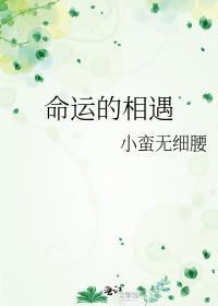 命运的相遇