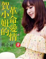 贺小妞的革命爱情