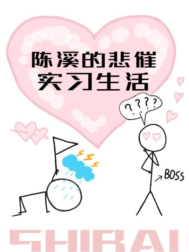 陈溪的悲催实习生活