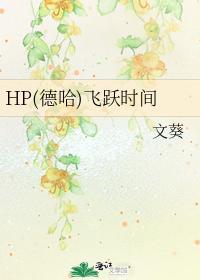 HP（德哈）飞跃时间