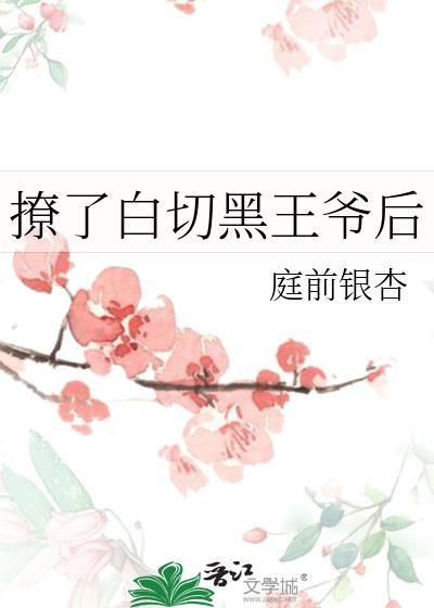 撩了白切黑王爷后
