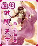 凤起-傲视天下