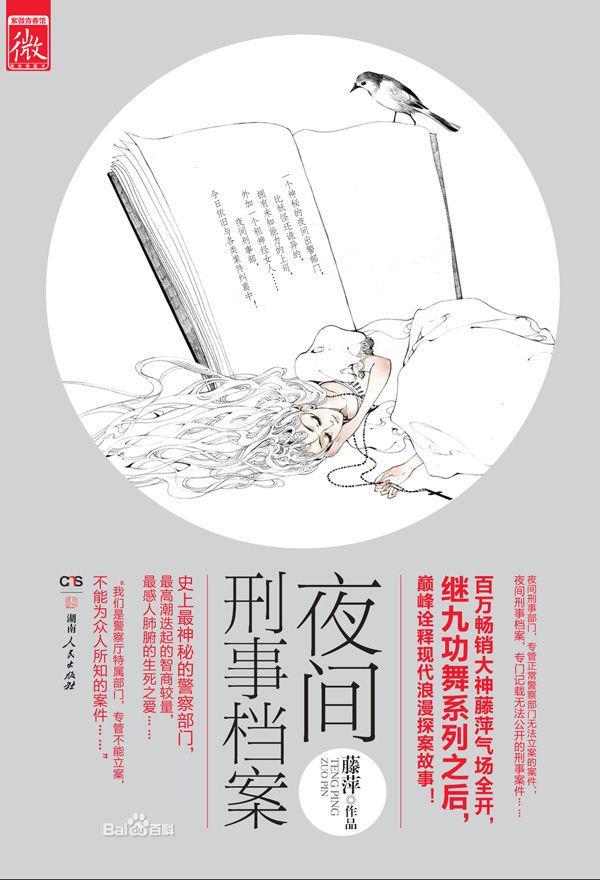 夜间刑事檔案