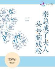 秦总成了夫人头号脑残粉