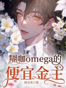 糊咖omega的便宜金主