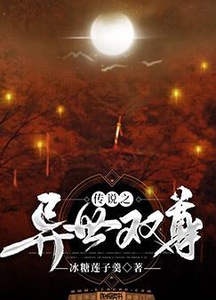 传说之异世双尊