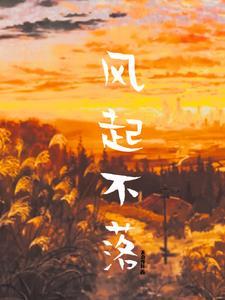 风起不落