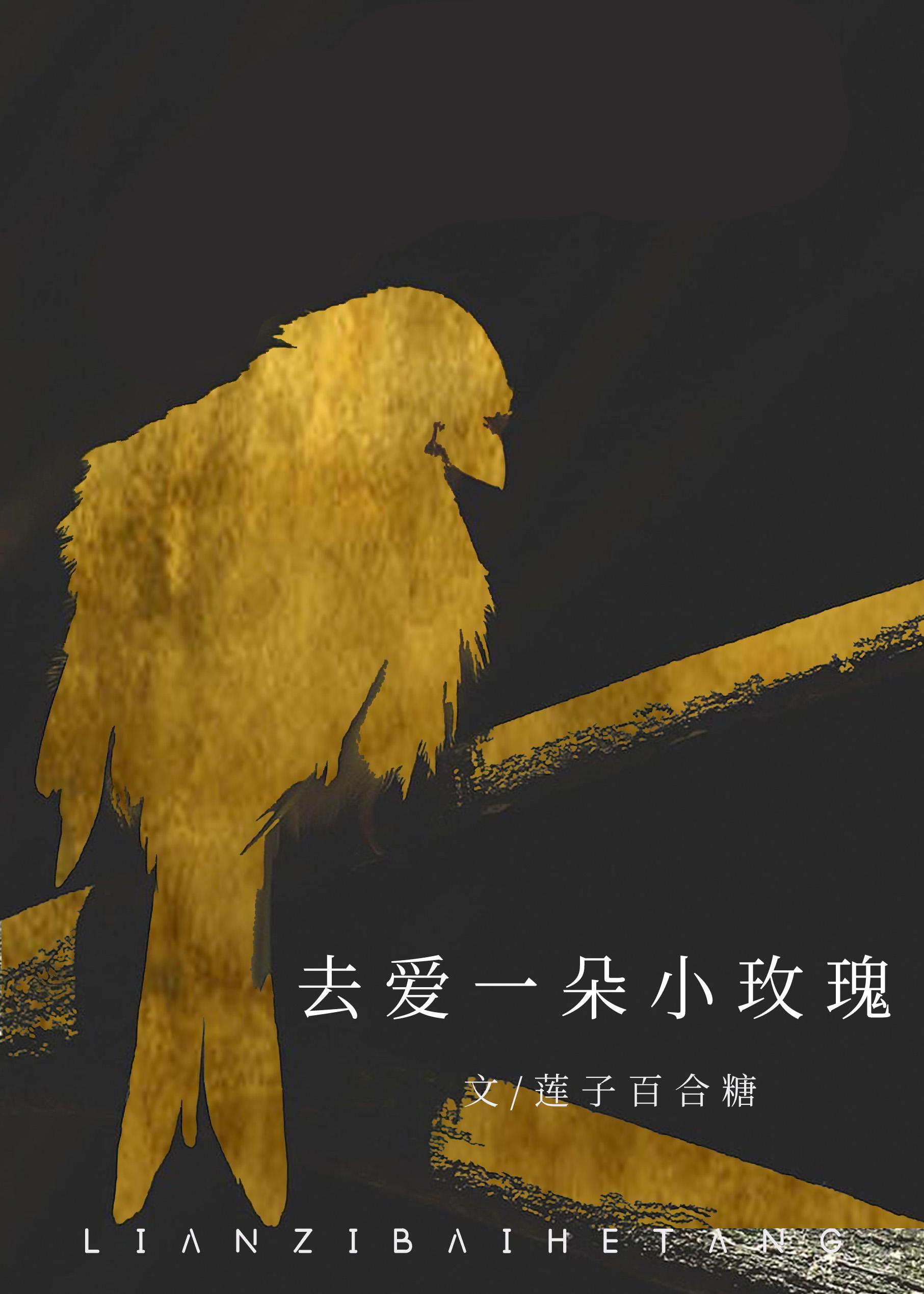 去爱一朵小玫瑰