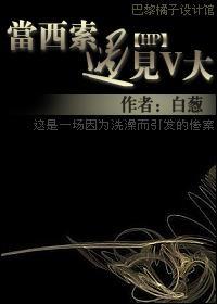 当西索遇见V大