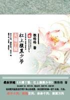 火爆丫鬟：杠上腹黑少爷