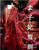 太子妃驾到