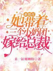 新婚夜她带着三个小奶团嫁给总裁