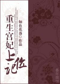 重生宫妃上位记