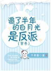追了半年的白月光是反派(穿书)