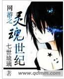 网游之灵魂世纪