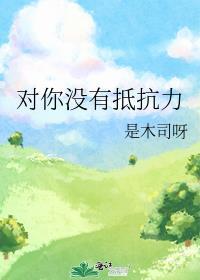 对你没有抵抗力