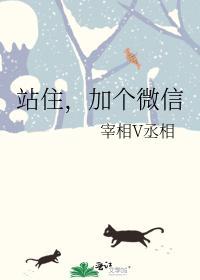 站住，加个微信