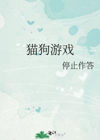 猫狗游戏