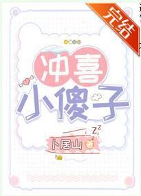 冲喜小傻子(穿越)