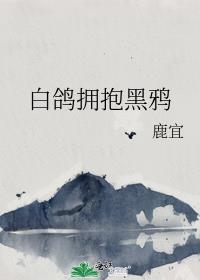 白鸽拥抱黑鸦