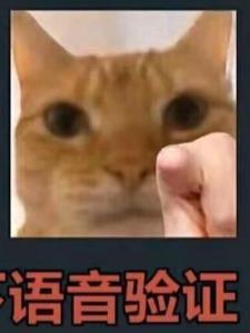 AI文抄？全抄错了！