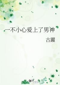 一不小心爱上了男神