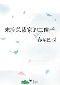 末流总裁家的二傻子