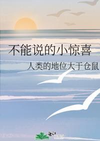 不能说的小惊喜