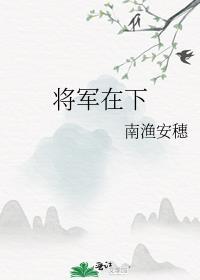 将军在下
