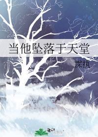 当他坠落于天堂