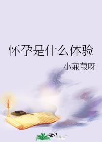 怀孕是什么体验