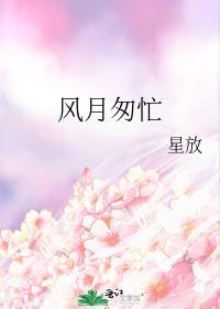 风月匆忙