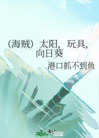(海贼)太阳,玩具,向日葵