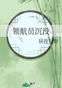 领航员沈没