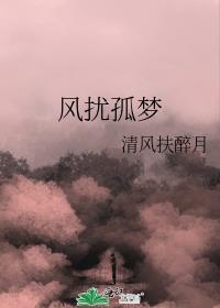 风扰孤梦