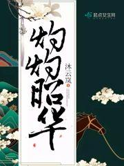 灼灼昭华