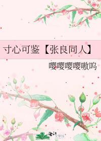 寸心可鉴【张良同人】
