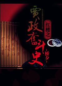 贾政奋斗史