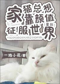 爆宠狂妻:神医五小姐
