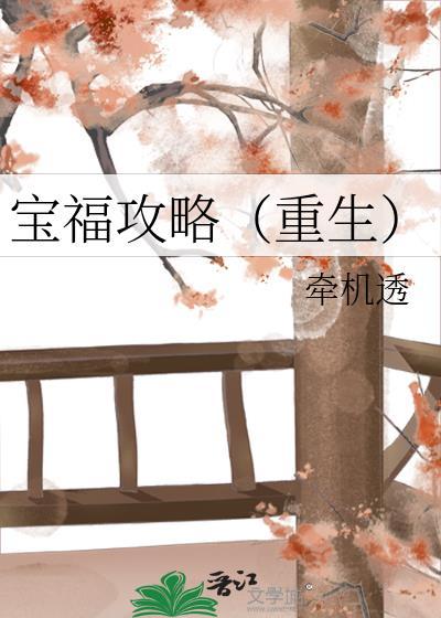 宝福攻略(重生)