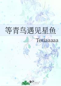 等青鸟遇见星鱼