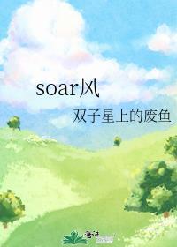 soar风