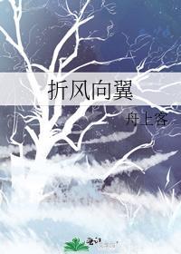 折风向翼