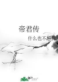 帝君传