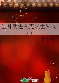 当神明进入无限世界以后