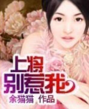 上将别惹我